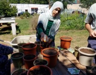 ABCD’S Summer ESOL Gardening Class